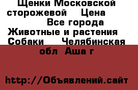 Щенки Московской сторожевой  › Цена ­ 25 000 - Все города Животные и растения » Собаки   . Челябинская обл.,Аша г.